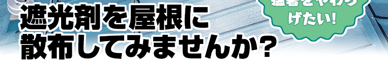 {̉Ă͖ɂn̏IȂł班łҏ炰I